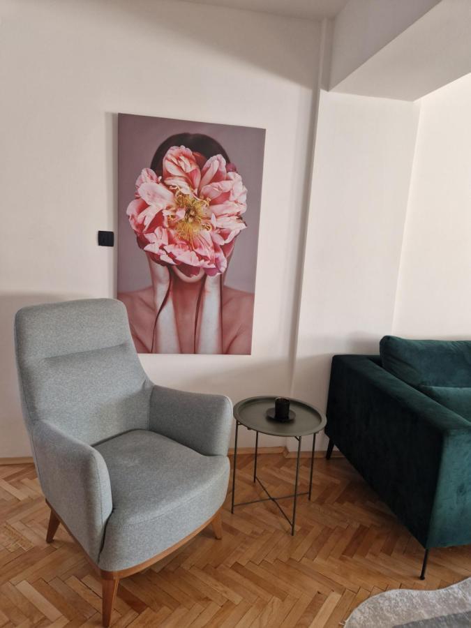 Comfy Center Apartment Skopje Eksteriør billede